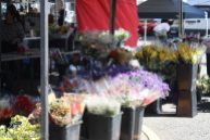 Another flower stall.